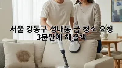 서울 강동구 성내동 급 청소 요청? 3분만에 해결책!