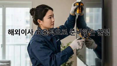 해외이사, 효율적으로 준비하는 꿀팁!